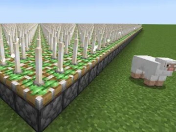 Solve all your Minecraft problems in 489 seconds