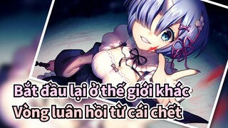 Bắt đầu lại ở thế giới khác|[AMV]Vòng luân hồi từ cái chết // DEAD