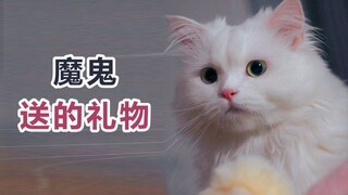 Is the one who gives you gifts an angel, or a devil?