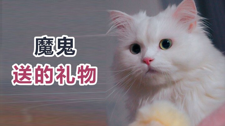 ผู้ที่มอบของขวัญให้คุณคือเทวดา หรือปีศาจกันแน่?