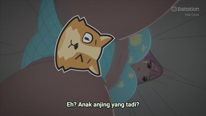 18+ NO SENSOR‼️MODUS MAJIKAN SEMBUNYI DI BAWAH ANU CEWEK CANTIK 🔞‼️