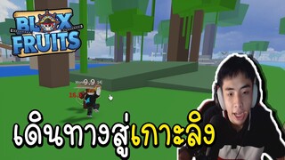 Roblox เดินทางไปเกาะลิง กับได้ผลปีศาจ (Blox Fruits)