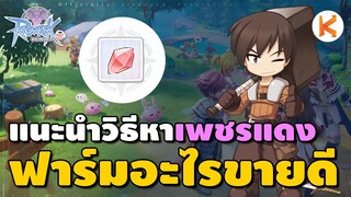 แนะนำวิธีหาเพชรแดง ขายอะไรดี ขายง่าย ขายไว | Ragnarok : Rebirth
