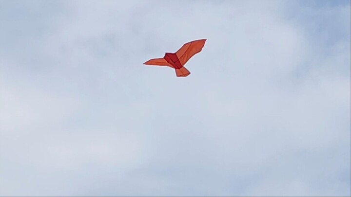 Strange Bird in Cox’s Bazar