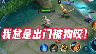 Tôi đã gặp một con rùa hai mặt đang đùa giỡn tục tĩu khi chơi King of Glory...