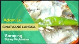 Ginataang Langka (Simpleng Buhay Probinsya) SIRAM SANA....! (San Andres, Catanduanes)