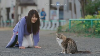 “来自同一个星球的人，总有一天会遇见他们”