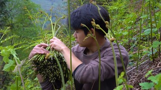 美丽的春天总是赋予我们无限的美味，今天这道菜从小吃到大，他是透进骨子里的记忆