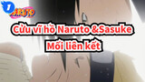 [Cửu vĩ hồ Naruto: Shippuden] Mối liên kết của Naruto và Sasuke_1
