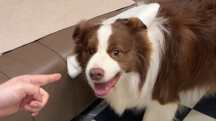 ช่างเถอะ งั้นกัดพ่อก่อนแล้วกัน!