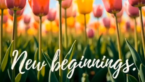 New Beginnings Bloom In Their Own Time 🦋