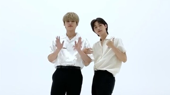 【Stray Kids】Let’s dance with 🍮🐥 #NIGHTDANCER | TikTok update