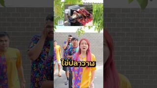 แข่งทาย ไข่สัตว์ เริ่ม!!