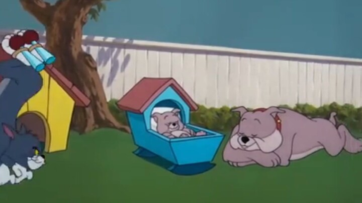 Tom and Jerry | Hicup puppy 5