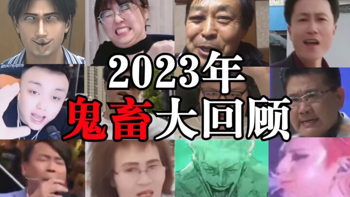 A look back at the hottest memes in the Ghost Zone! [2023 Annual Review]