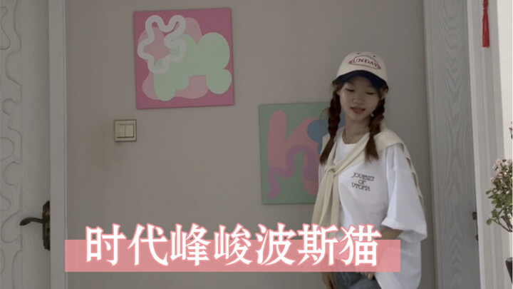 不同版本的波斯猫哈哈哈