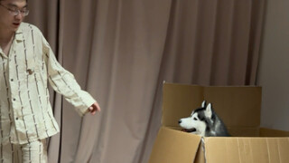 Where Dad is, there I am