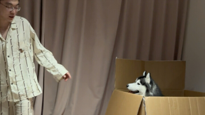 Where Dad is, there I am