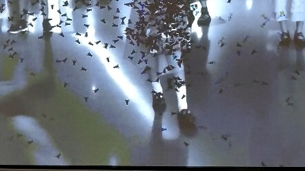 Ketika Dikelilingi oleh Serangga