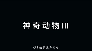 电影《神奇动物3》独家新预告