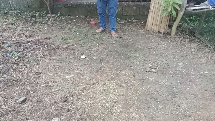 testing