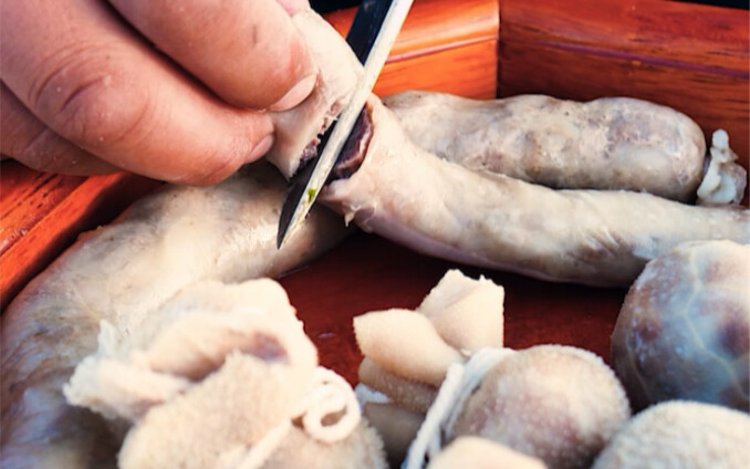 Hoa tỏi rừng thảo nguyên