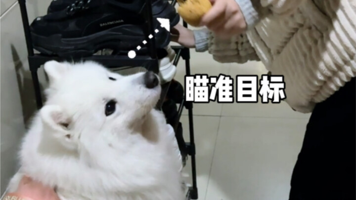 The brave dog gets to eat the little bun first!