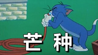 【猫和老鼠】芒种