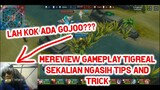 Mereview Gameplay Tigreal Mobile Legends Sekalian Ngasih Tips And Trick