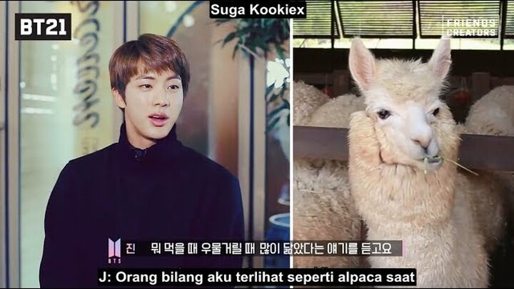[INDO SUB] BT21 Making of BT21 EP01