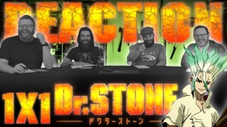 Dr. Stone 1x1 REACTION!! "Stone World"