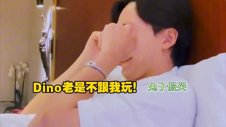 【ไลฟ์สด wvs】จิ้งฮั่น: ดีโน่มักไม่เล่นกับผม ไปฟ้องแคลร์แล้วยังแกล้งร้องไห้อีก ฮ่าๆๆ คิโย่~