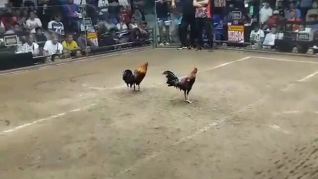 2hits first fight win