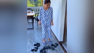 Chị Đại cũng bị Troll giaitri giaitritonghop giaitritiktok chidai hai haihuoc haihuoctiktok haihuocvuinhon clip fyp foryou cliphai troll xuhuong tren thinhhanhtiktok