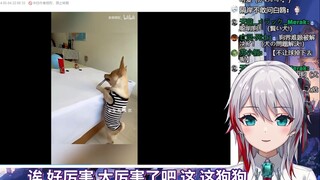 日本天然小姐姐看《我们拒绝小狗表演，但拒绝不了小狗硬要表演！》