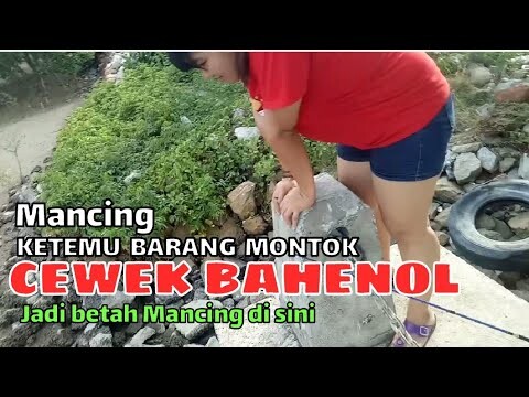 Rejeki!! Mancing ketemu Cewek montok, mulus dan bahenol sedang ngucel ngucel ikan buntal