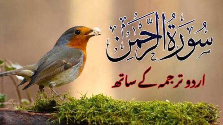 Surah Rahman With Urdu Translation _ سورة الرحمن _ Quran with Urdu and Hindi Translation