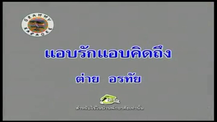 10.แอบรักแอบคิดถึง (คาราโอเกะ) - ต่าย อรทัย