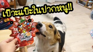 โลกของแสนดี ตอน โดนหลอกให้กินเม็ดเป๊าะแป๊ะ!