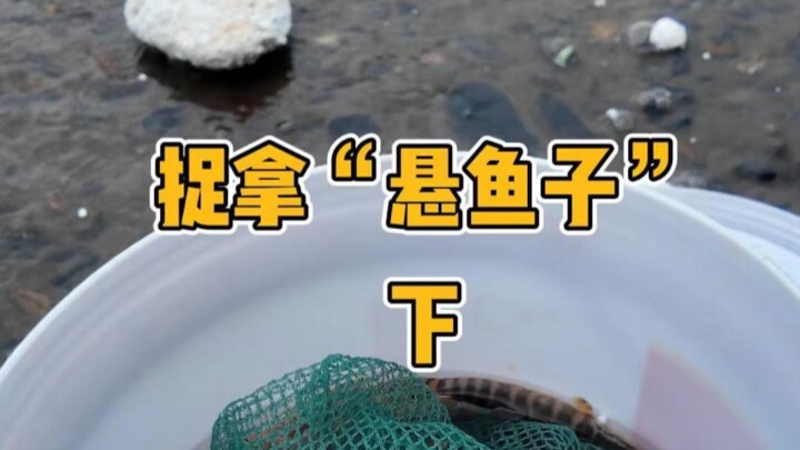 Truy bắt “Huyền Ngư Tử” [Phần 2], anh chàng mũ rơm bỗng “thay mặt”, phải chăng những kẻ đánh bắt trá