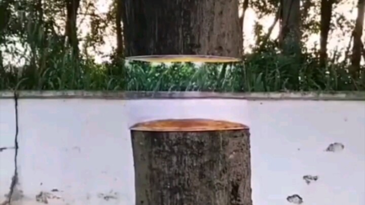 Experts Are Among the People