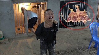 Gà Chọi Rút Xương Và Ván Bida Định Mệnh - Mao Đệ Mất Gà Chiến Vì Dám Thách Đấu Mao Ca