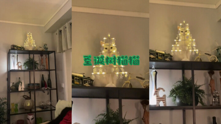 ที่รัก หนูเป็นต้นคริสต์มาสเลยนะ🎄