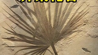 Beauty is discovered in an instant!