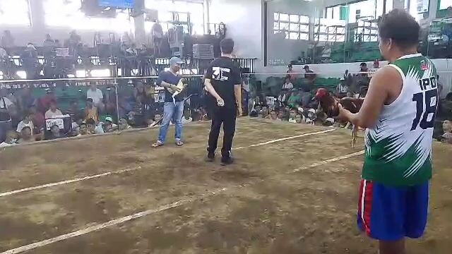 champion 2hits ulutan @zapote cockpit 🏆 walang sugat.