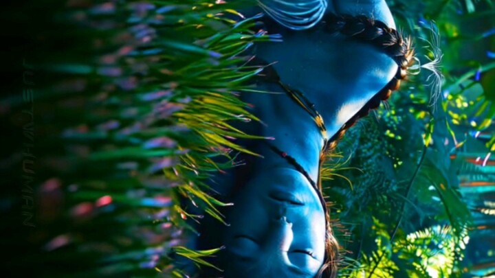 Avatar Movie Edits