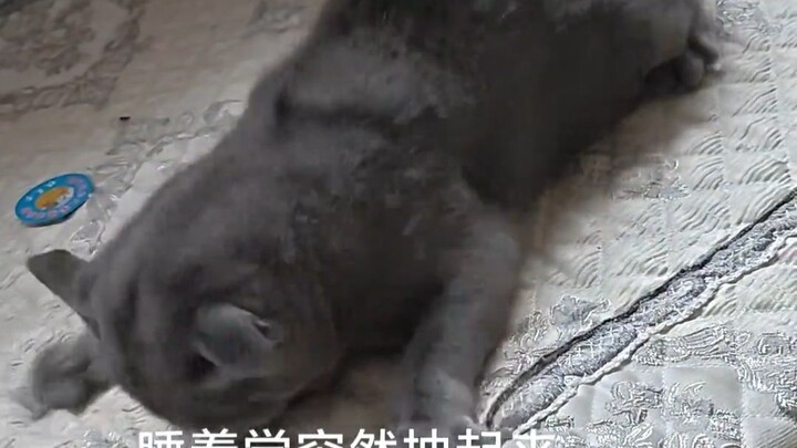 Tần số cộng hưởng cao của Hakimi