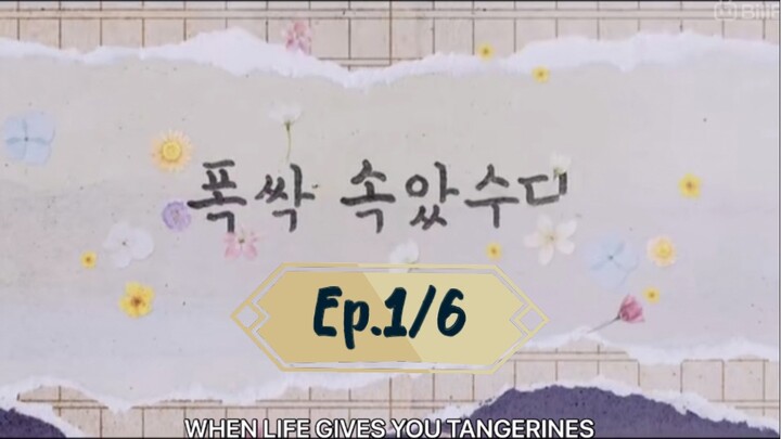EP.1/6 [ ENG. SUB. ] When.Life.Gives.You- TANGERINES 🍊