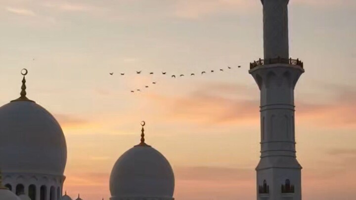 मुश्किल वक्त में अल्लाह पर भरोसा रखो 🤲 | Allah Par Bharosa | Islamic Reminder