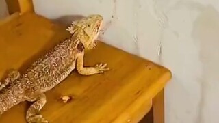 แม่งเอ๊ย ทำงานแบบสายพานเลยนะ